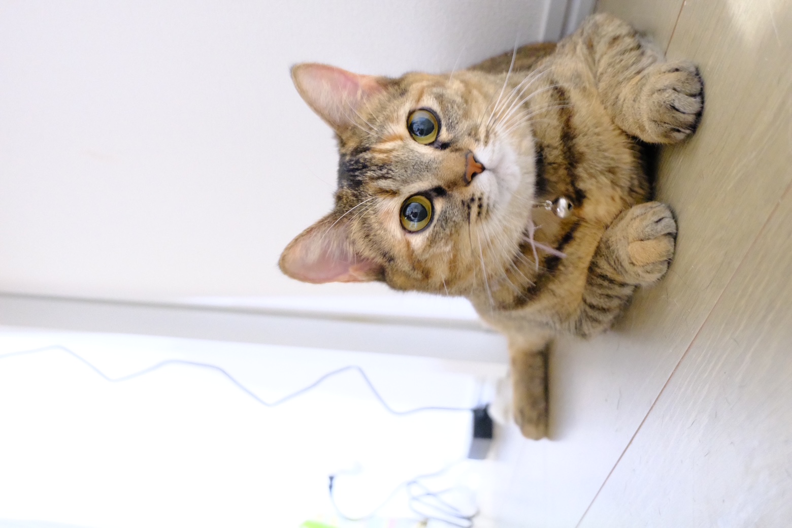 麦わら柄の女の子